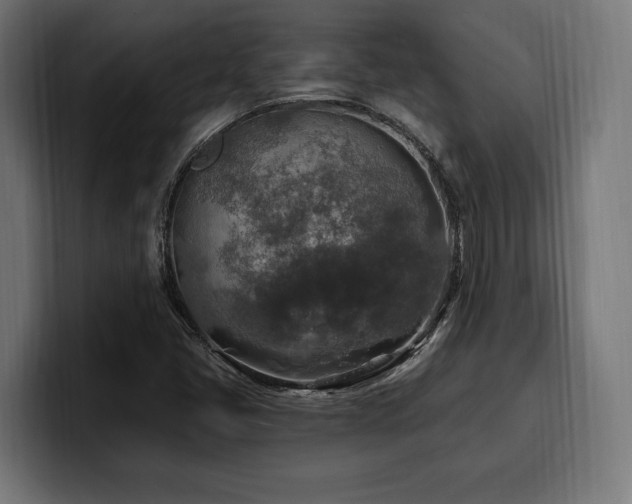 X0000100501405200806131427