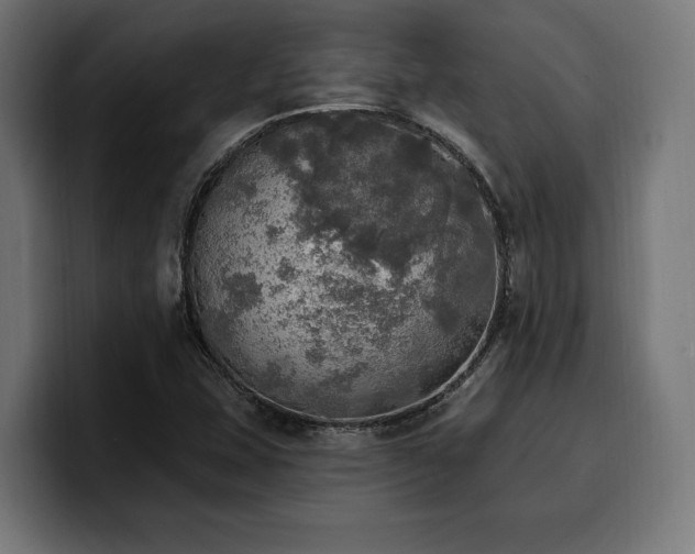 X0000100501407200806131427