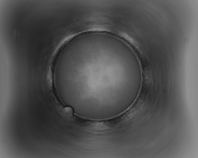 X0000100501408200806131427