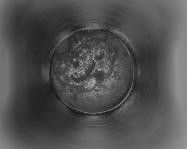 X0000100501409200806131427