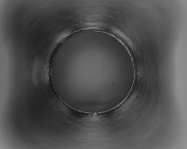 X0000100501411200806131427