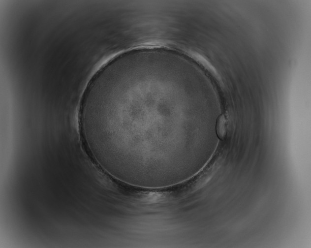 X0000100501412200806131427