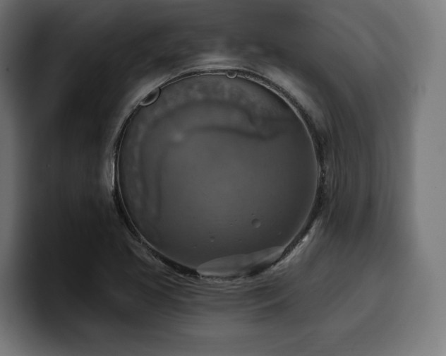 X0000100501413200806131427