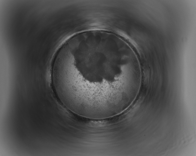 X0000100501415200806131427