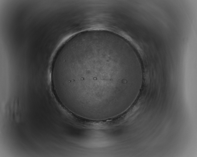 X0000100501416200806131427