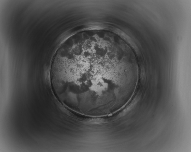 X0000100501417200806131427