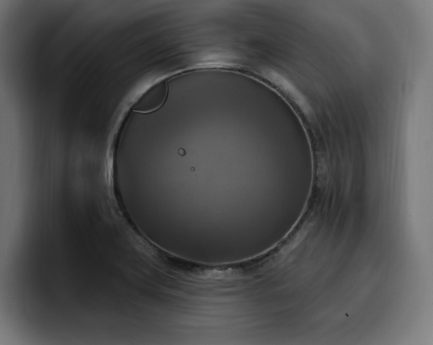 X0000100501419200806131427