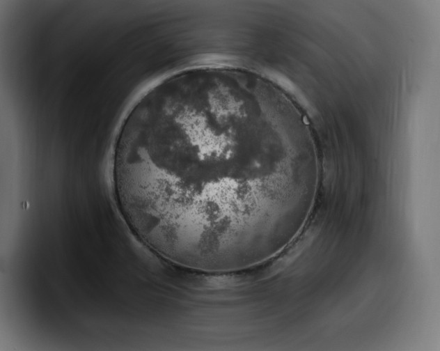 X0000100501421200806131427