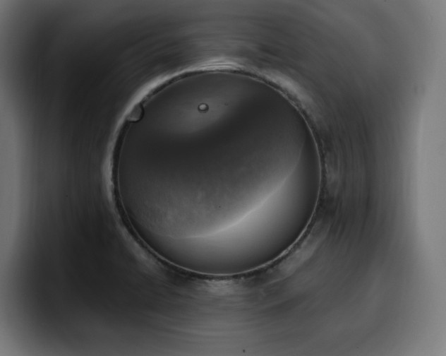 X0000100501422200806131427