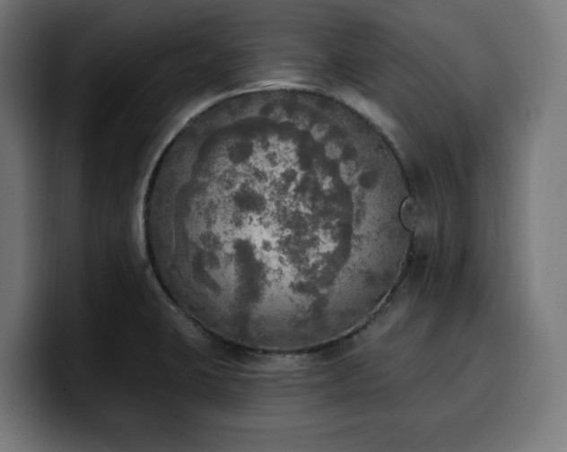 X0000100501423200806131427