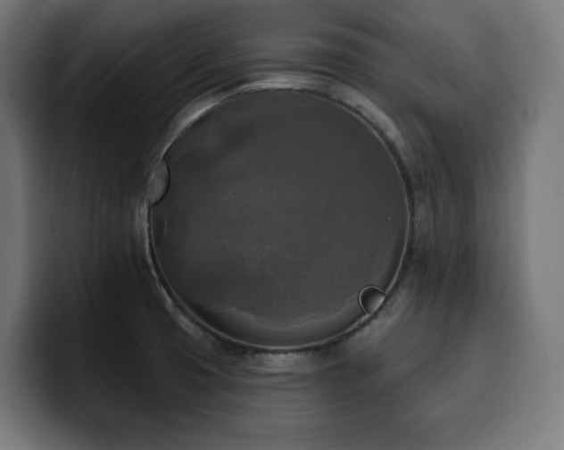 X0000100501425200806131427