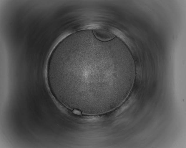 X0000100501426200806131427