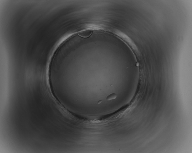 X0000100501427200806131427