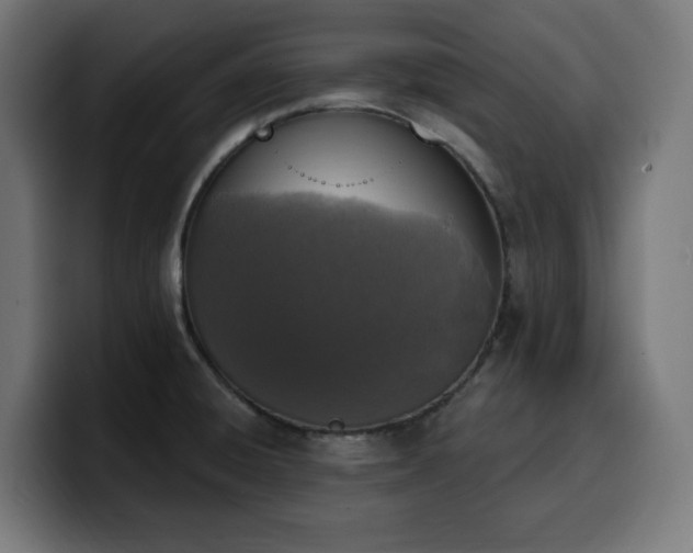 X0000100501428200806131427