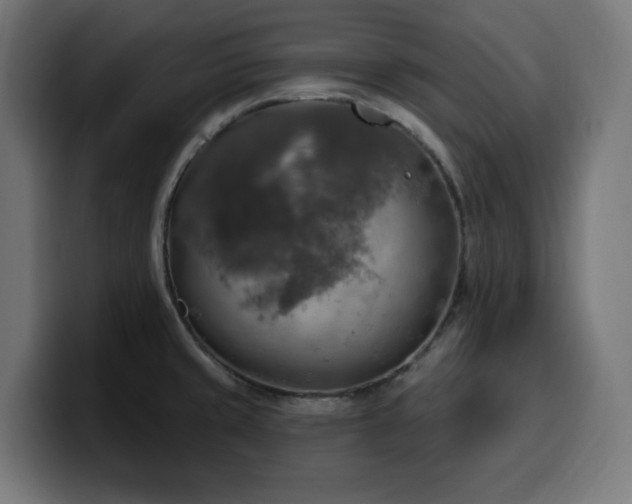 X0000100501429200806131427