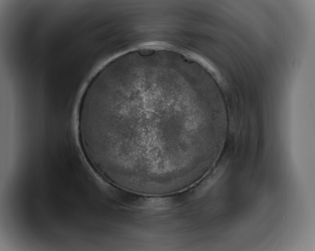 X0000100501430200806131427