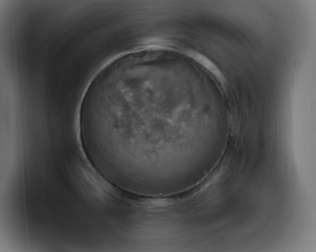 X0000100501431200806131427