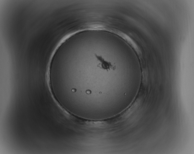 X0000100501432200806131427