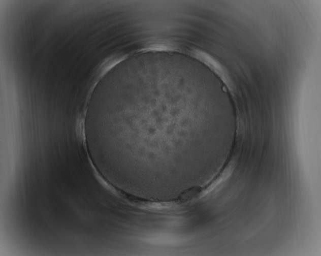 X0000100501433200806131427