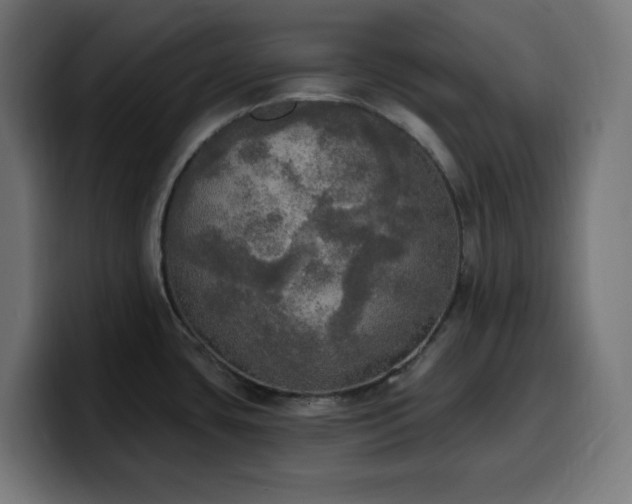 X0000100501435200806131427