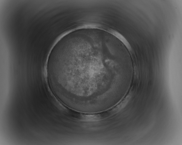 X0000100501436200806131427