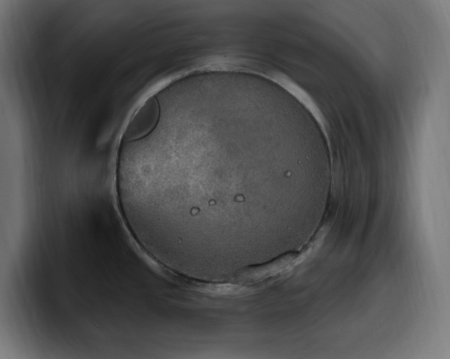 X0000100501437200806131427