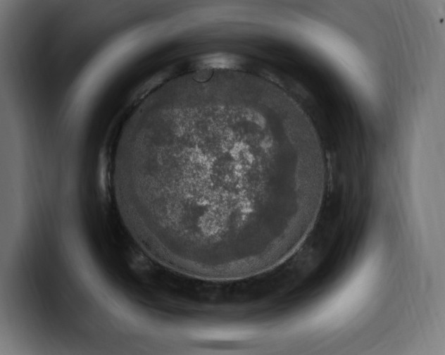 X0000100501438200806131427