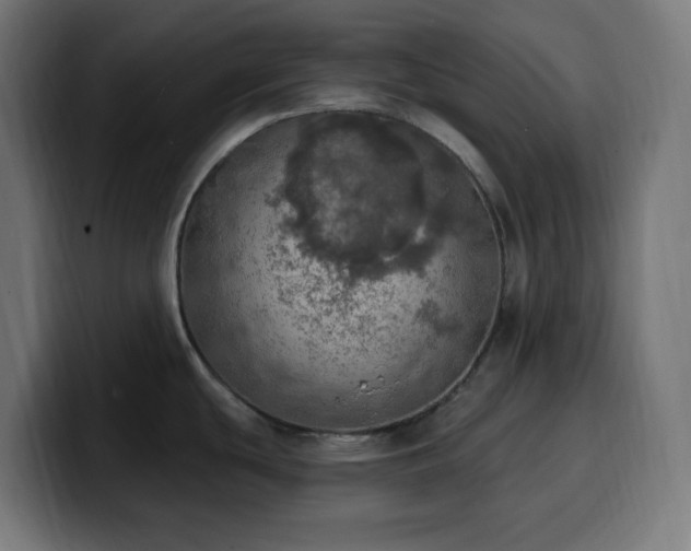 X0000100501439200806131427