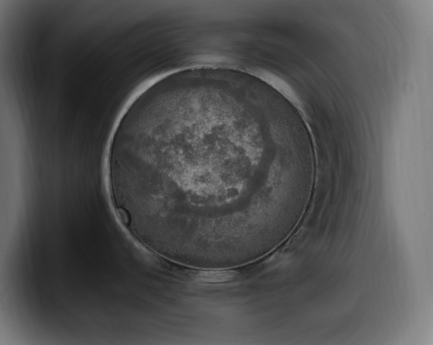 X0000100501440200806131427