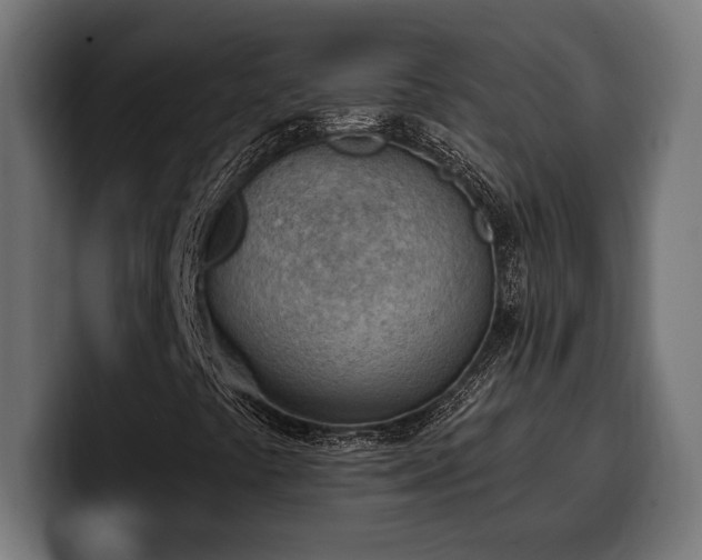 X0000100501441200806131427