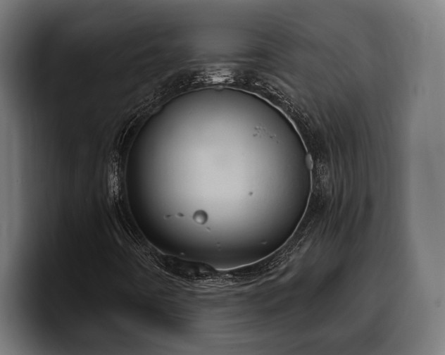 X0000100501442200806131427