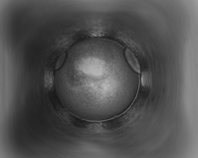 X0000100501444200806131427