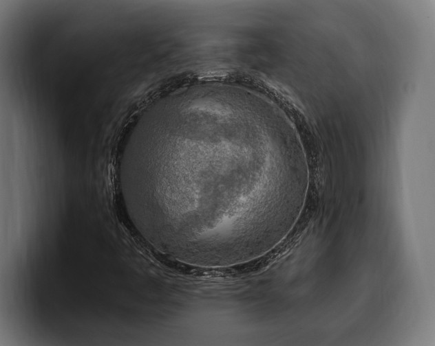 X0000100501445200806131427