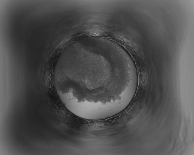 X0000100501446200806131427