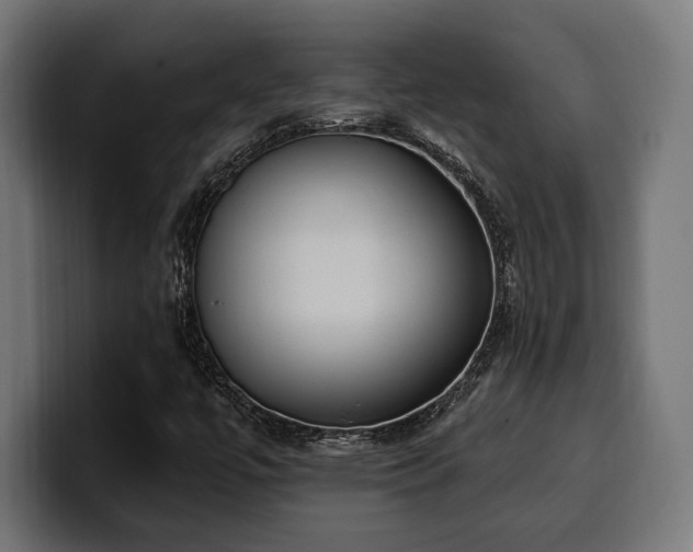 X0000100501447200806131427