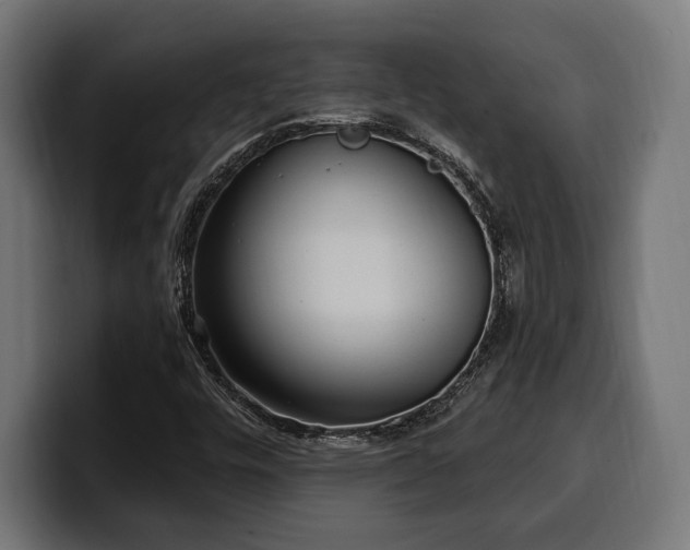 X0000100501448200806131427