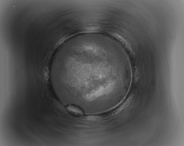 X0000100501449200806131427