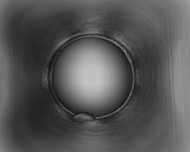 X0000100501452200806131427