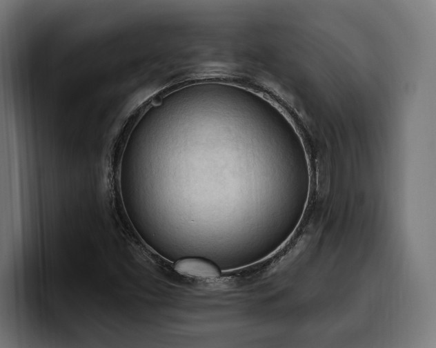 X0000100501453200806131427