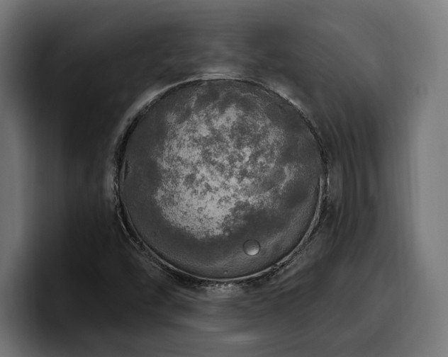 X0000100501454200806131427