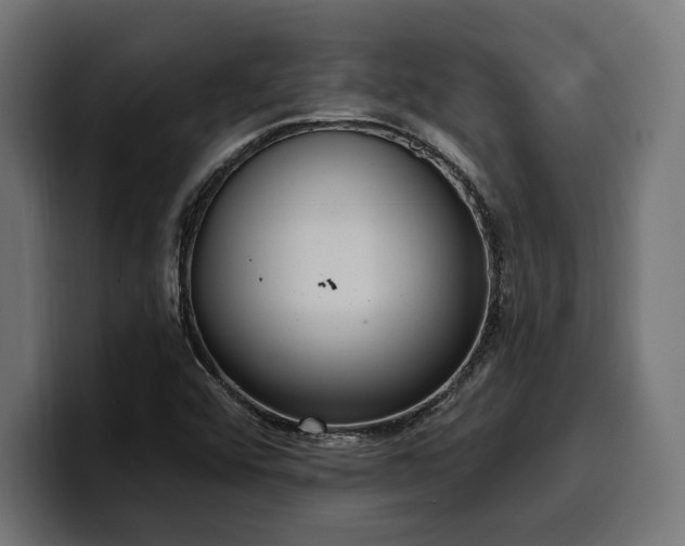 X0000100501456200806131427