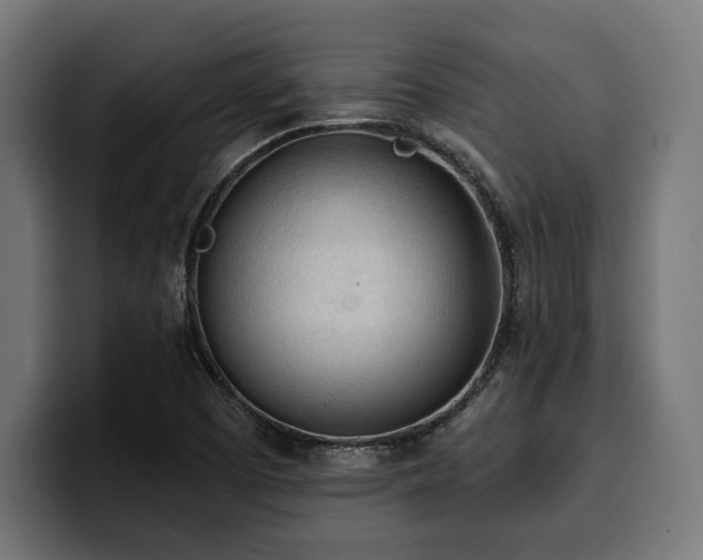 X0000100501457200806131427