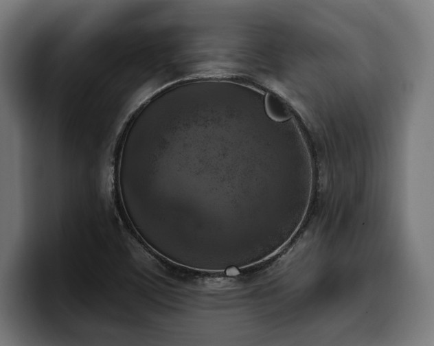 X0000100501459200806131427