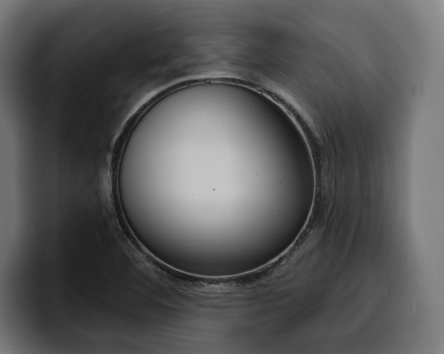 X0000100501460200806131427