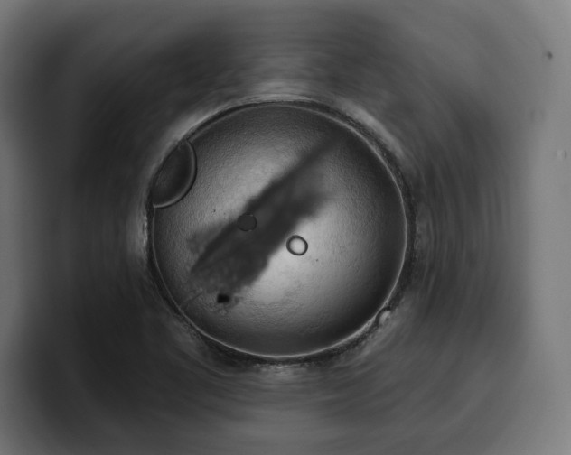 X0000100501461200806131427