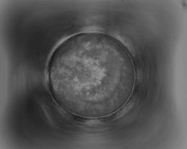 X0000100501462200806131427