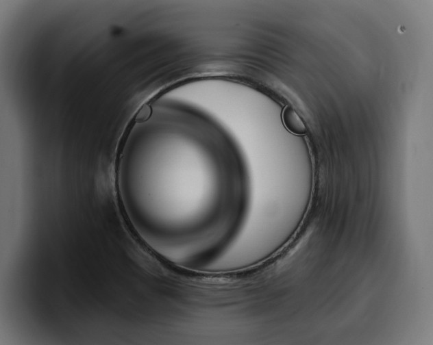 X0000100501465200806131427