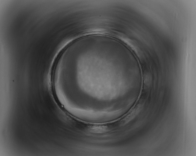 X0000100501466200806131426