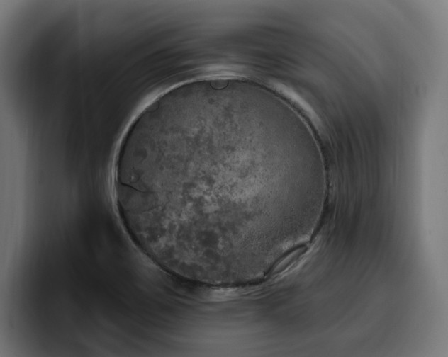 X0000100501467200806131426