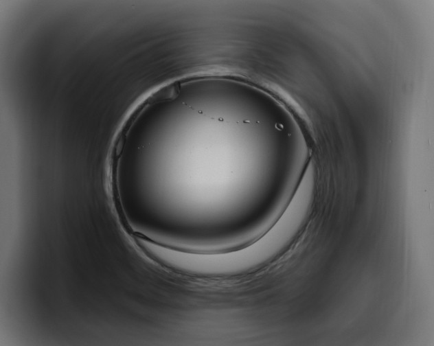 X0000100501468200806131426